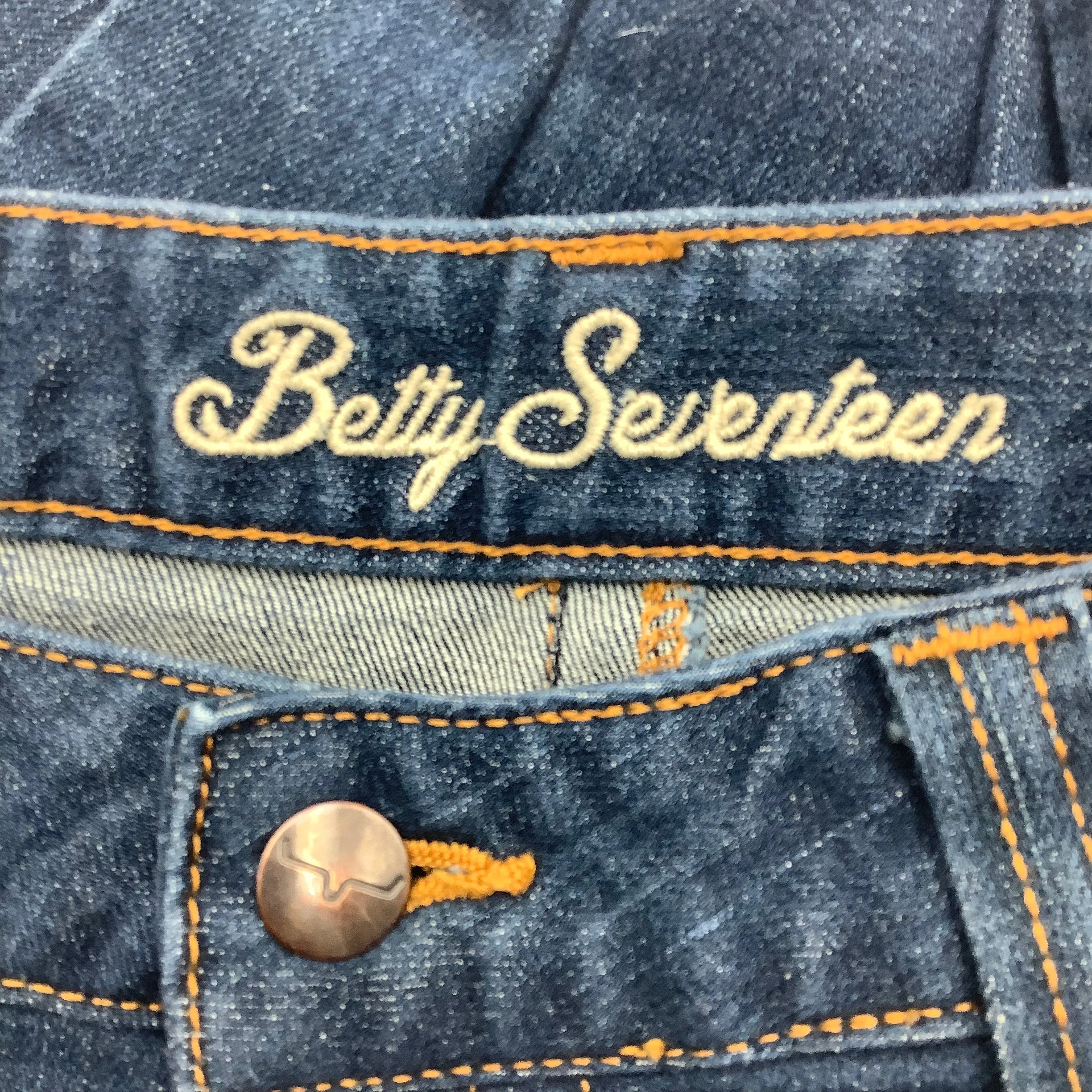 Betty Seventeen Women's Jean Pant Blue Size: 14/36
