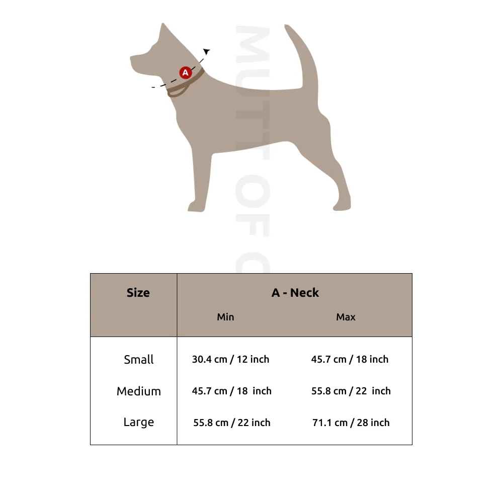 Pawesome Blossom Martingale Collar   Leash Set