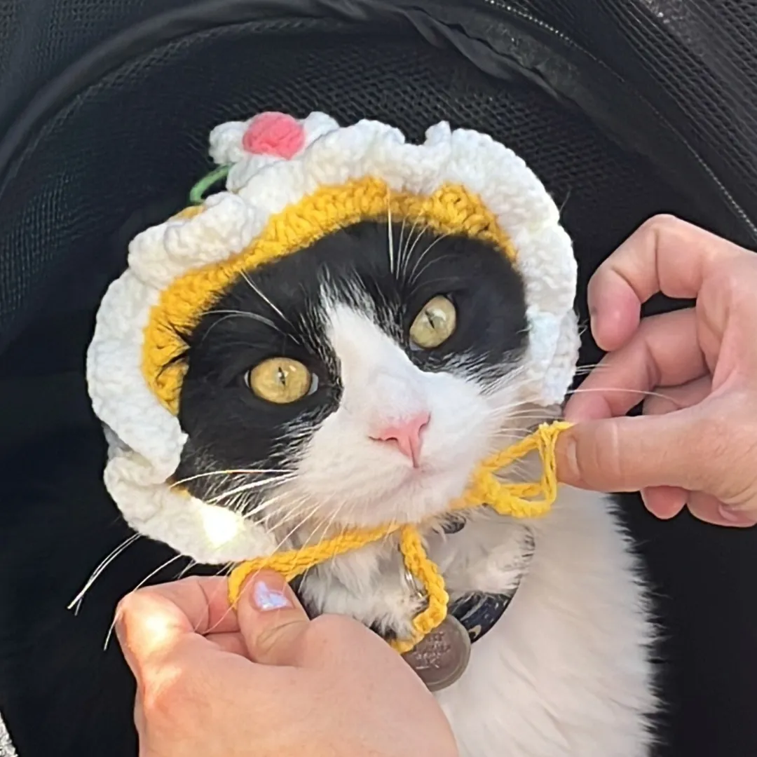 Pet Adjustable Knitting Hat with Ear Holes for Cats and Dogs - Yellow Flower