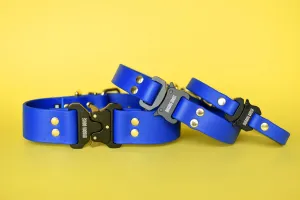 PREMADE COLLECTION - Royal & Brass Biothane Dog Collar