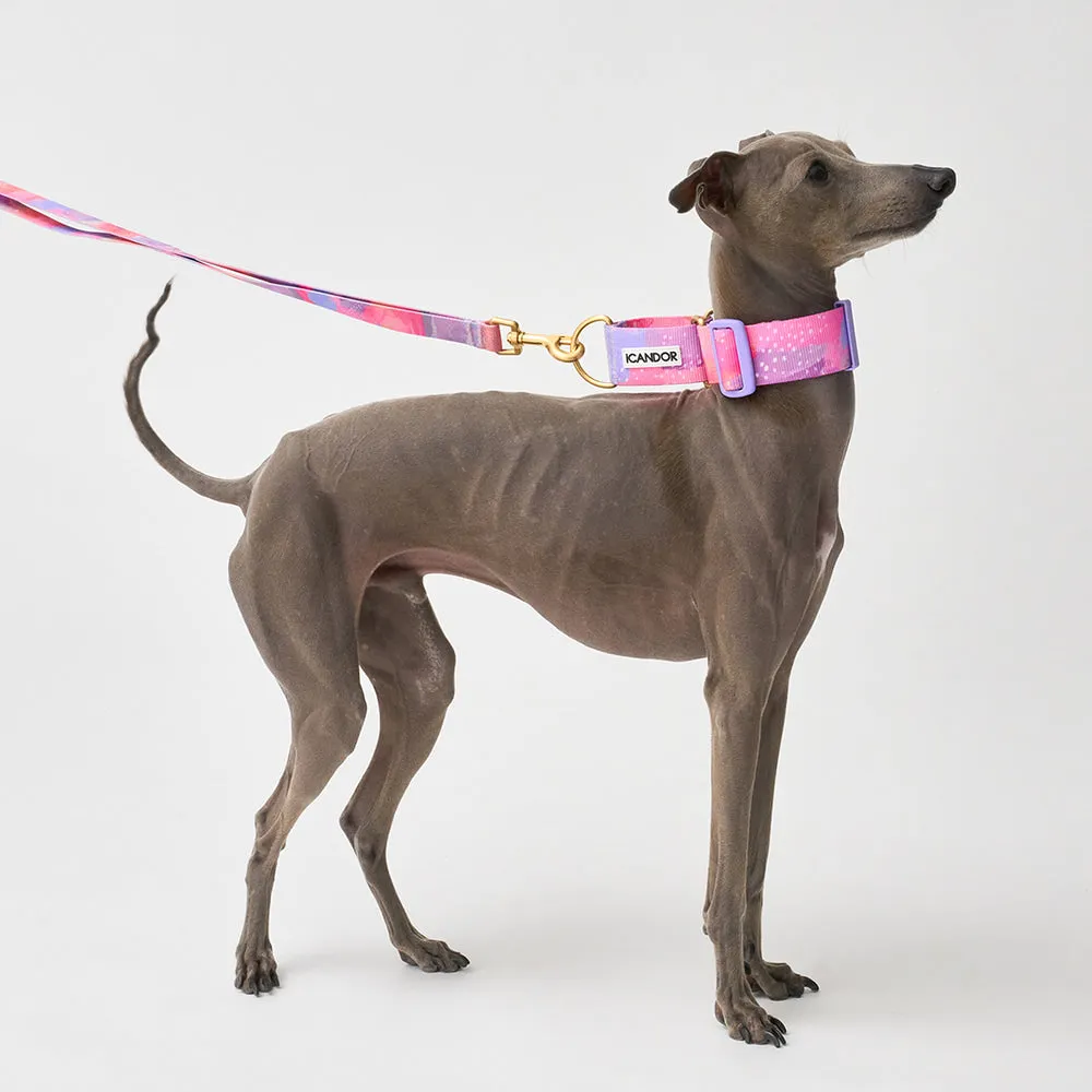 Smooth Martingale Collar 38mm (Milky Way)