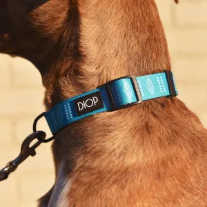 The Aloma Dog Collar
